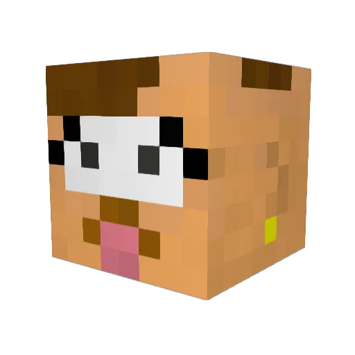 Gar_rett Minecraft avatar head, 3D render