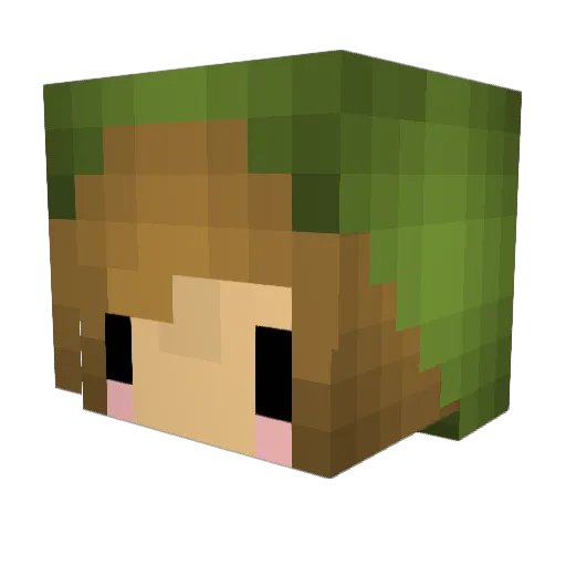 Gara0303 Minecraft avatar head, 3D render