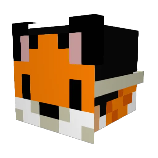 Gara1234 Minecraft avatar head, 3D render