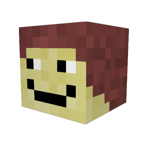 GarageDoor24 Minecraft avatar head, 3D render