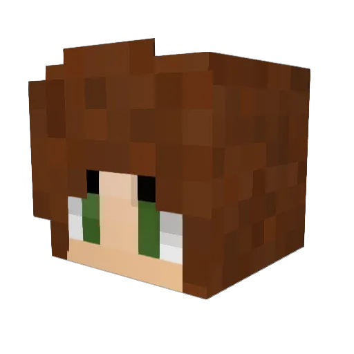 Garbage227 Minecraft avatar head, 3D render