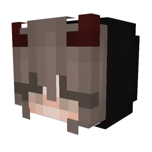 Garbondonuts Minecraft avatar head, 3D render