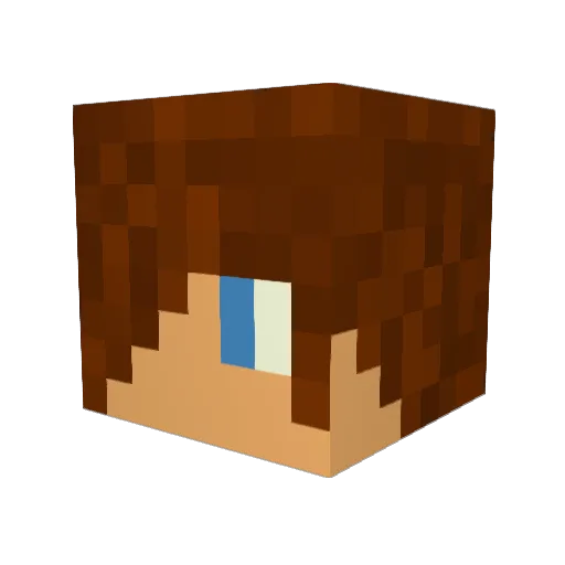 Garbron Minecraft avatar head, 3D render