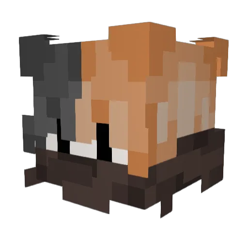 GardenCats Minecraft avatar head, 3D render