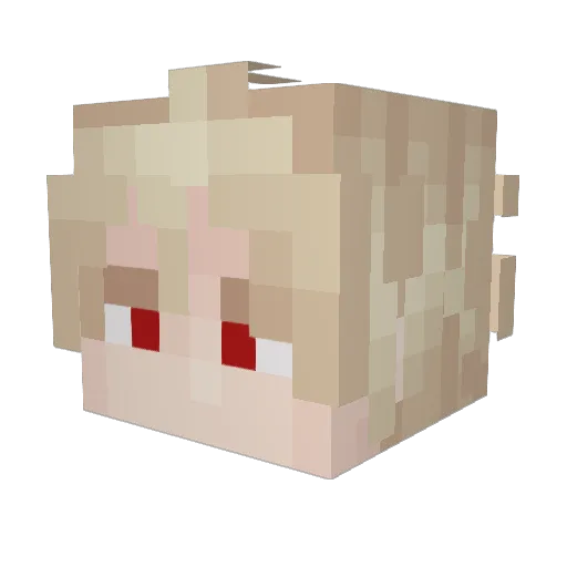 Gardner1101 Minecraft avatar head, 3D render