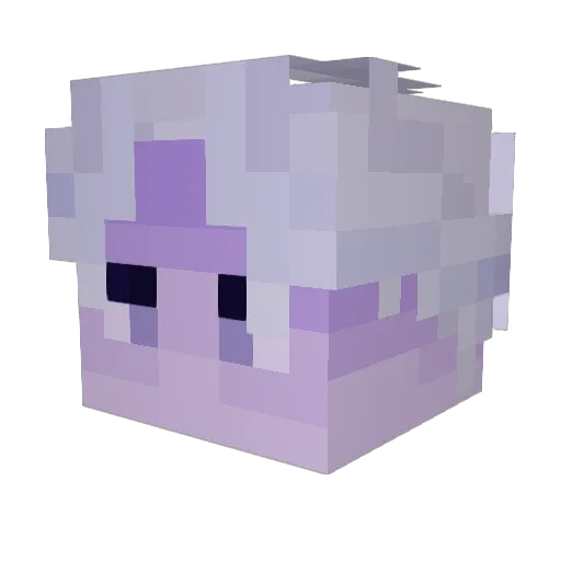 Gardoshka Minecraft avatar head, 3D render