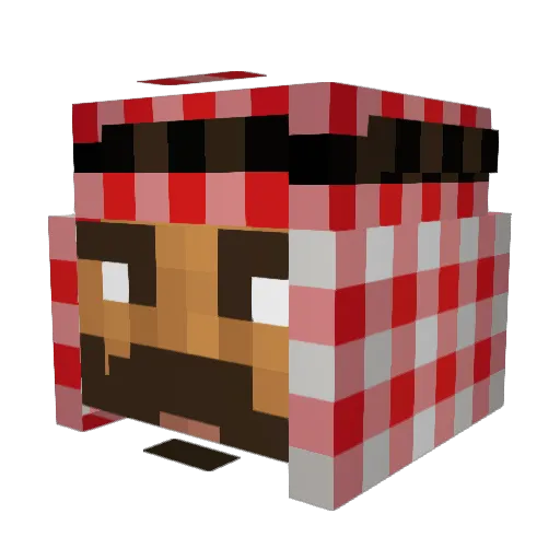 Garebear13 Minecraft avatar head, 3D render