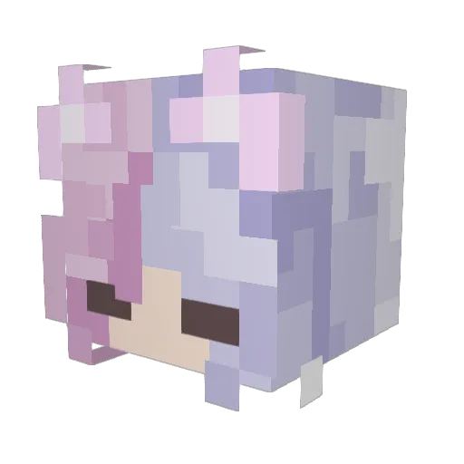 Garesuii Minecraft avatar head, 3D render