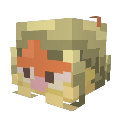 Garf_Valentine Minecraft avatar head, 3D render