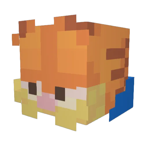 Garfield2405 Minecraft avatar head, 3D render