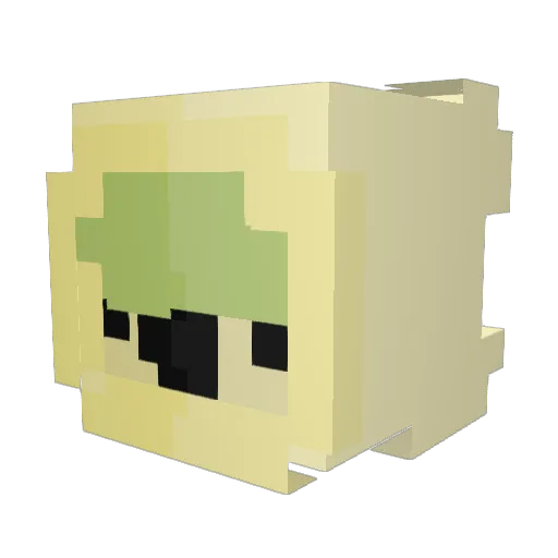 Garfield897 Minecraft avatar head, 3D render
