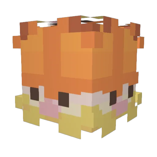 GarfieldCraves Minecraft avatar head, 3D render