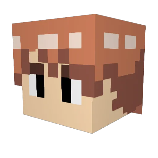 Garfonze Minecraft avatar head, 3D render