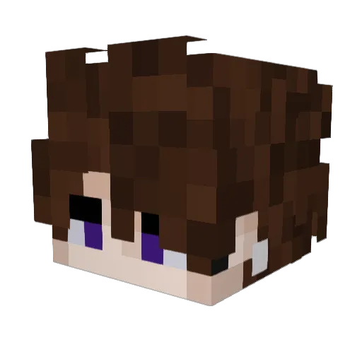 Garies7 Minecraft avatar head, 3D render