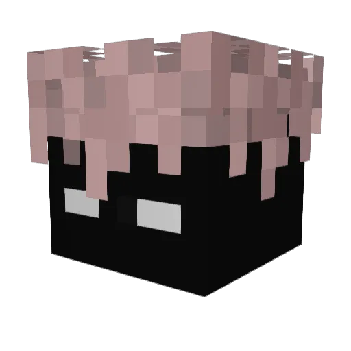 Garlics Minecraft avatar head, 3D render
