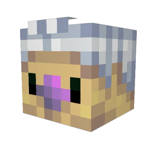 Garny_ Minecraft avatar head, 3D render