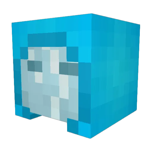 Garpomp Minecraft avatar head, 3D render