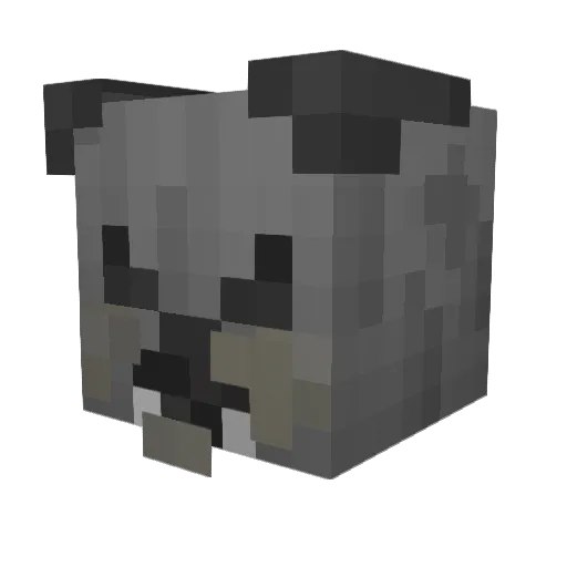 GarrGoylee Minecraft avatar head, 3D render