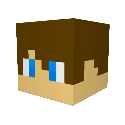 Garrett8305 Minecraft avatar head, 3D render