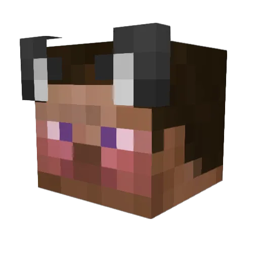 GarryPug Minecraft avatar head, 3D render