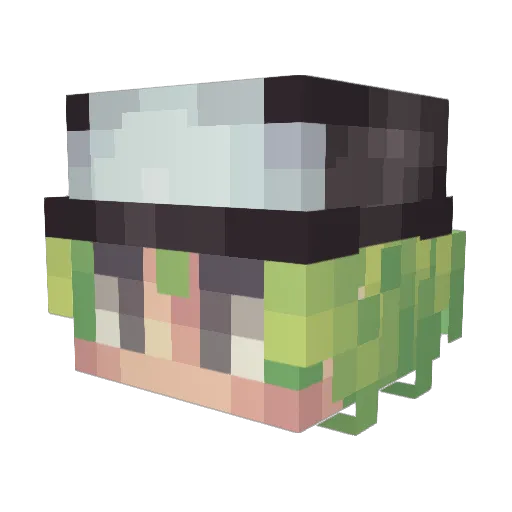 Garu14 Minecraft avatar head, 3D render