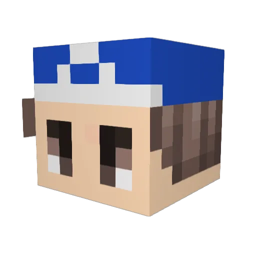 Gary3146 Minecraft avatar head, 3D render