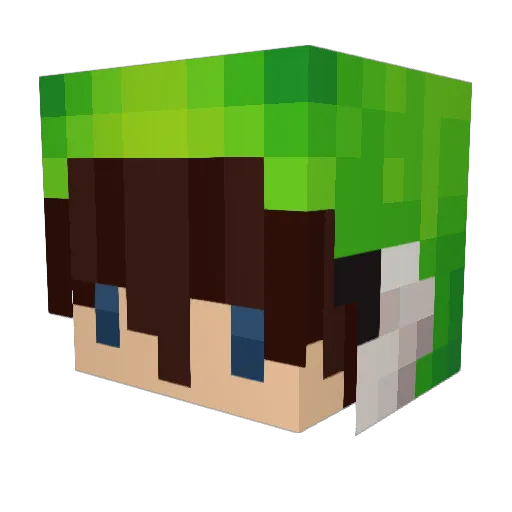GaryChanChan Minecraft avatar head, 3D render