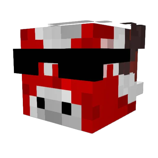 GaryTheMan69 Minecraft avatar head, 3D render