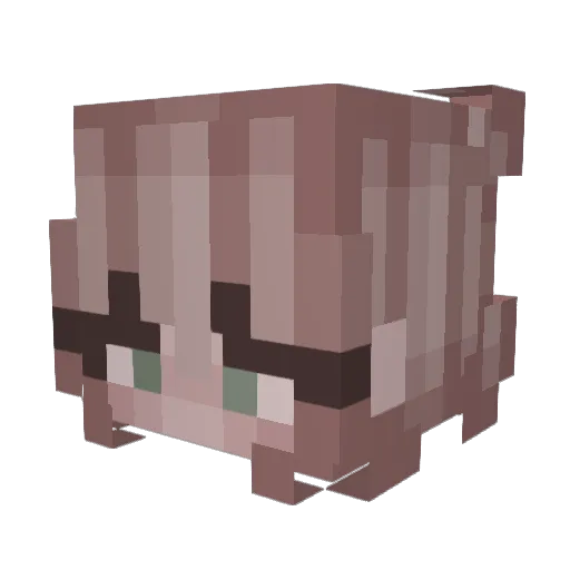 Garzoe Minecraft avatar head, 3D render