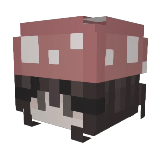 GassyGrace Minecraft avatar head, 3D render