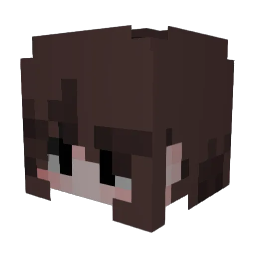 Gaster443 Minecraft avatar head, 3D render