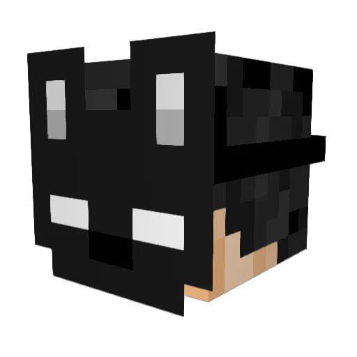 Gastoon111 Minecraft avatar head, 3D render