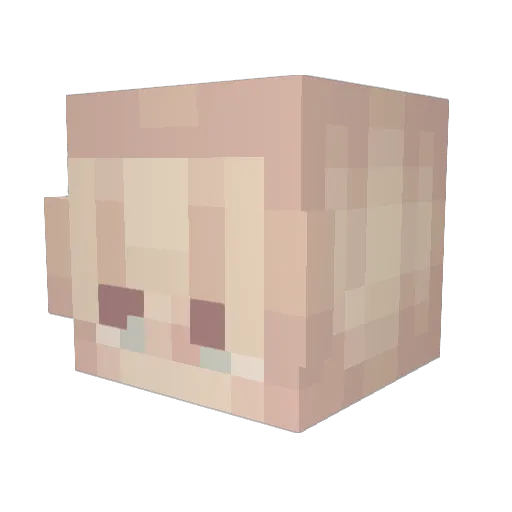 Gatata Minecraft avatar head, 3D render