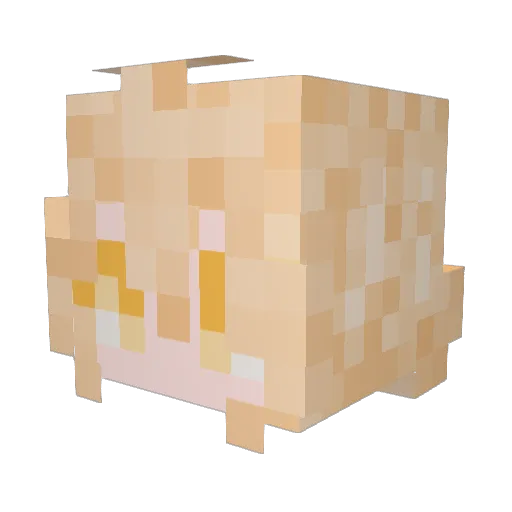 Gatete25 Minecraft avatar head, 3D render
