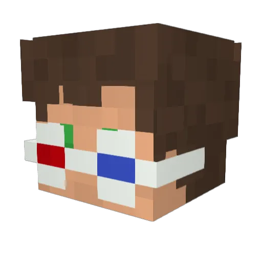 Minecraft-Avatar von Gatinhos: Kopf als 3D-Render