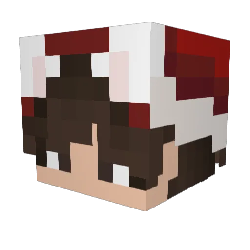 Gatinhoyx Minecraft avatar head, 3D render