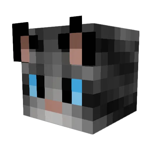 GatoCraft123 Minecraft avatar head, 3D render
