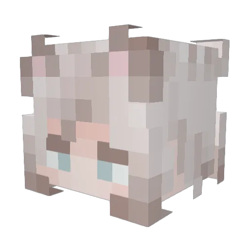GatoFresa Minecraft avatar head, 3D render