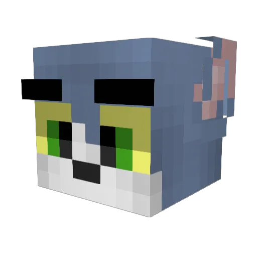 Gato_Tom Minecraft avatar head, 3D render