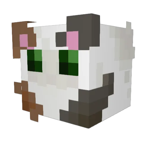 Gatopro106 Minecraft avatar head, 3D render