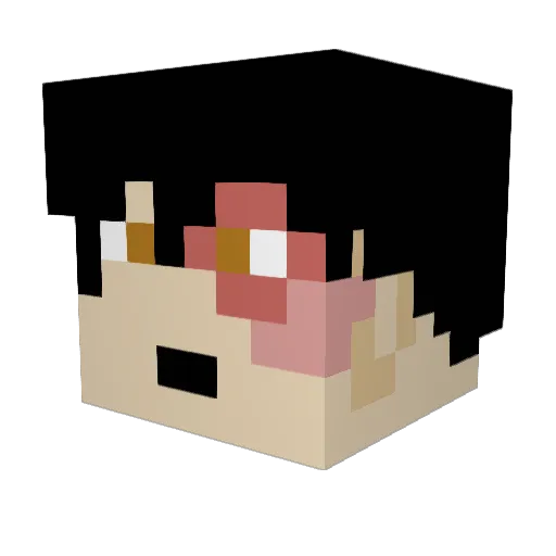 GatorK1ng Minecraft avatar head, 3D render