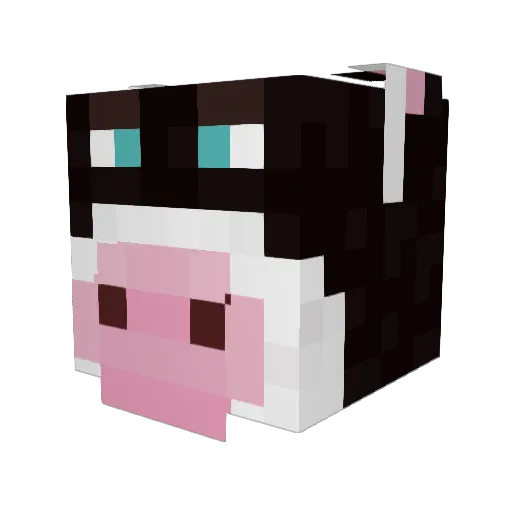 GatorMan316 Minecraft avatar head, 3D render