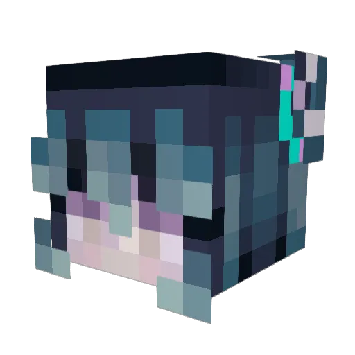 GatorWith4Rs Minecraft avatar head, 3D render