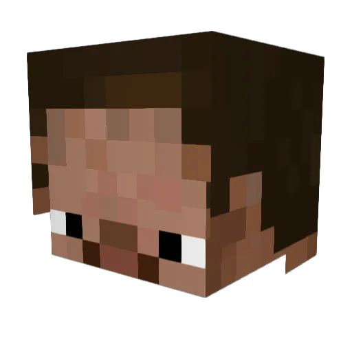 Gatorboy5185 Minecraft avatar head, 3D render