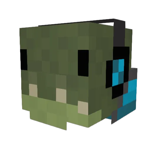 Gatorboy831 Minecraft avatar head, 3D render