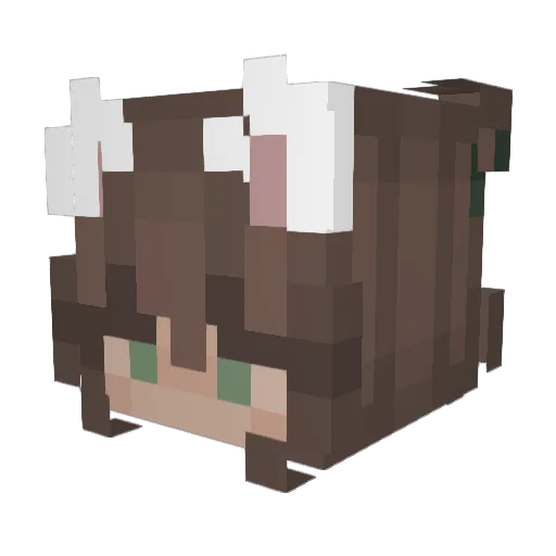 Gators74 Minecraft avatar head, 3D render