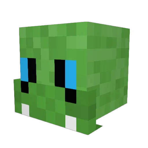Gatorziggy Minecraft avatar head, 3D render