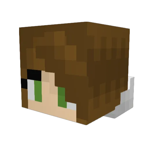 Gatynn Minecraft avatar head, 3D render