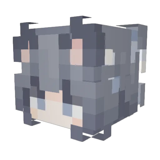 Gaucelm Minecraft avatar head, 3D render