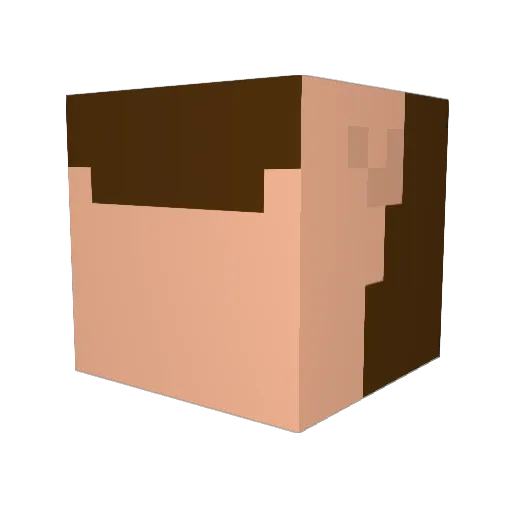 Gautche Minecraft avatar head, 3D render